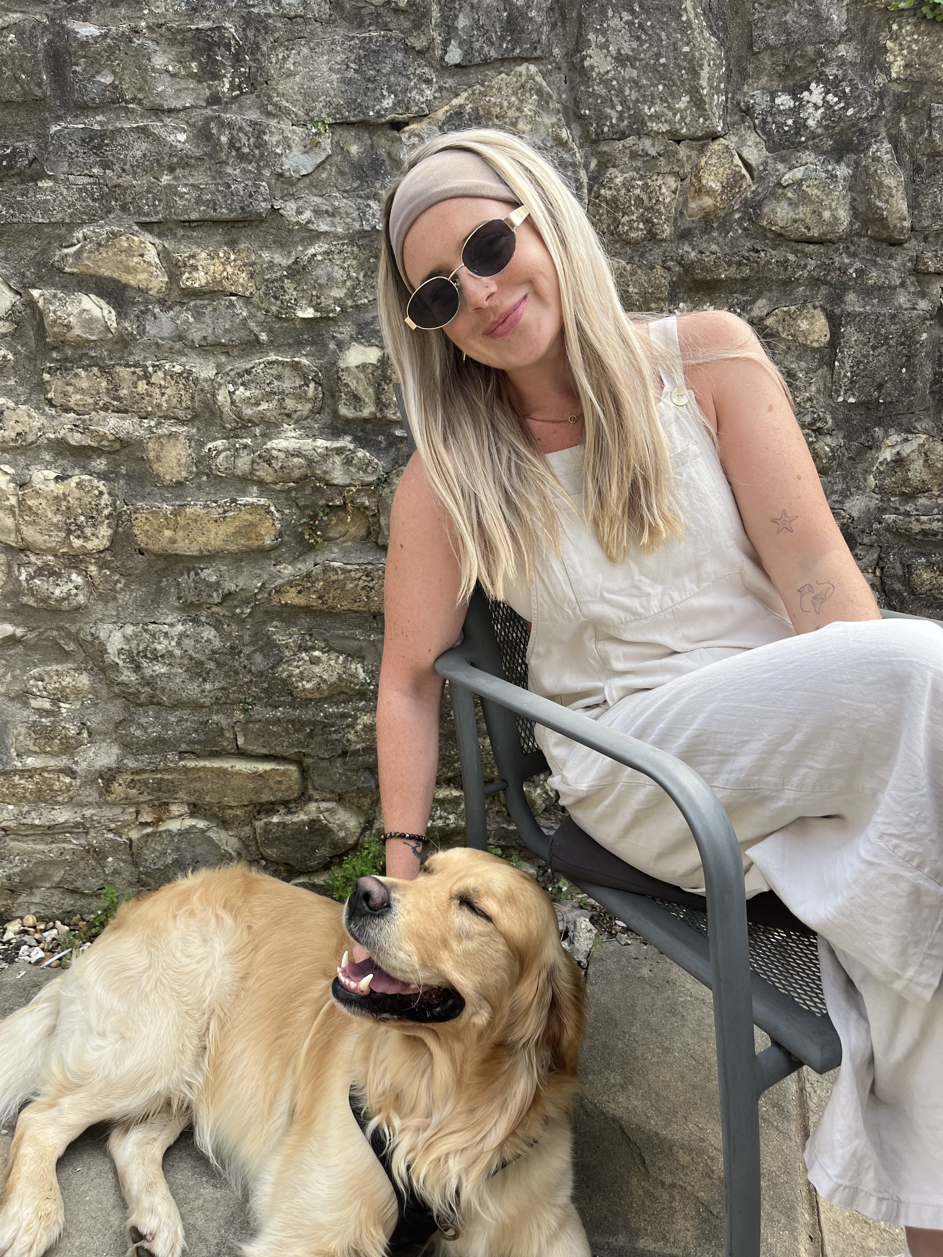 Dog guest