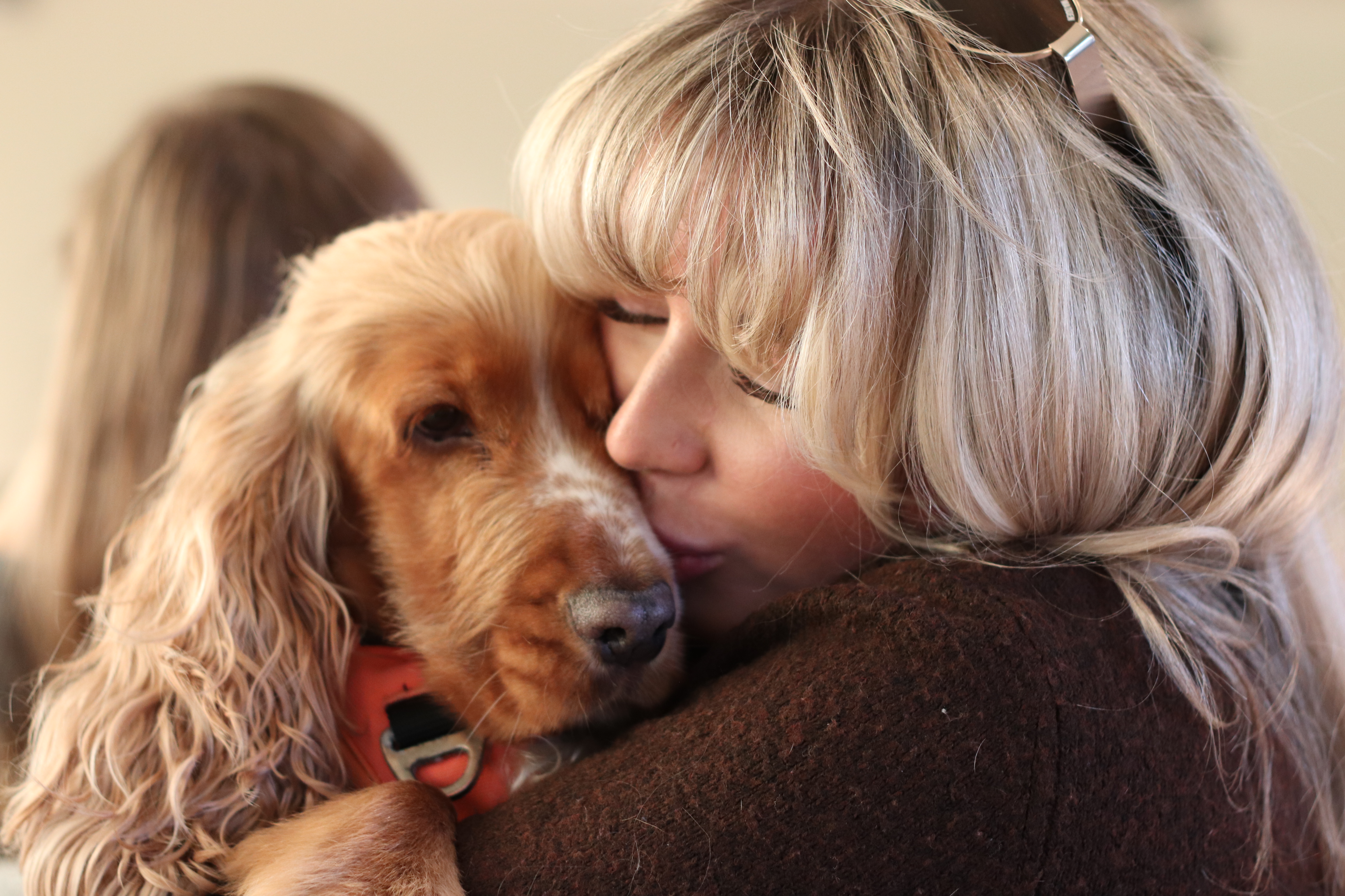 Dog guest